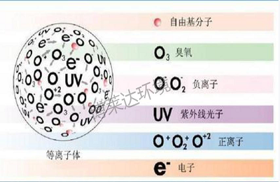 等离子体组分