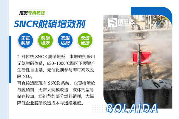 SNCR产品介绍