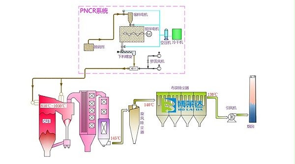 pncr高分子脱硝