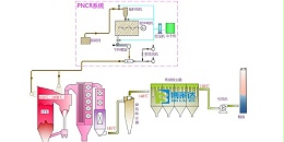 什么是pncr高分子脱硝技术