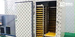食品烘干尾气脱白设备
